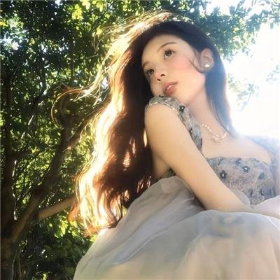 红色天网封面
