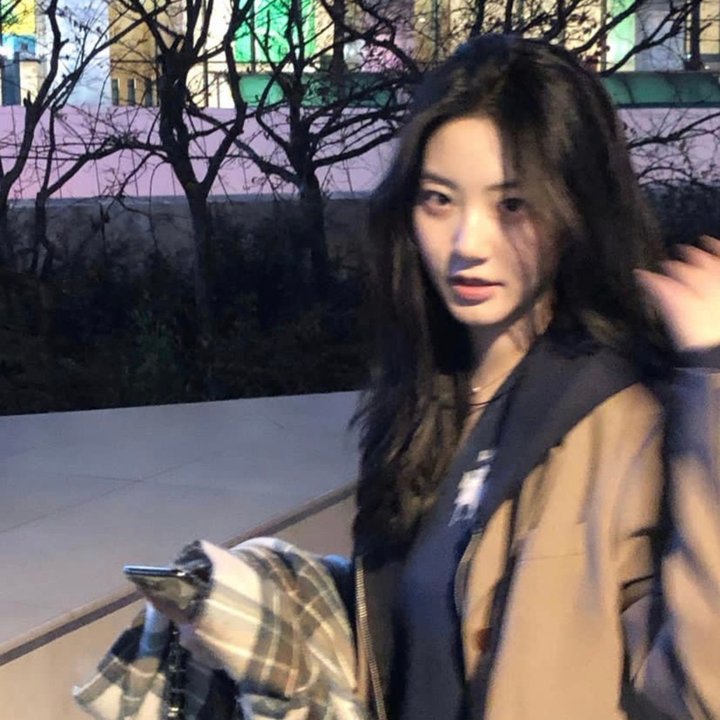 单骑悍盗封面